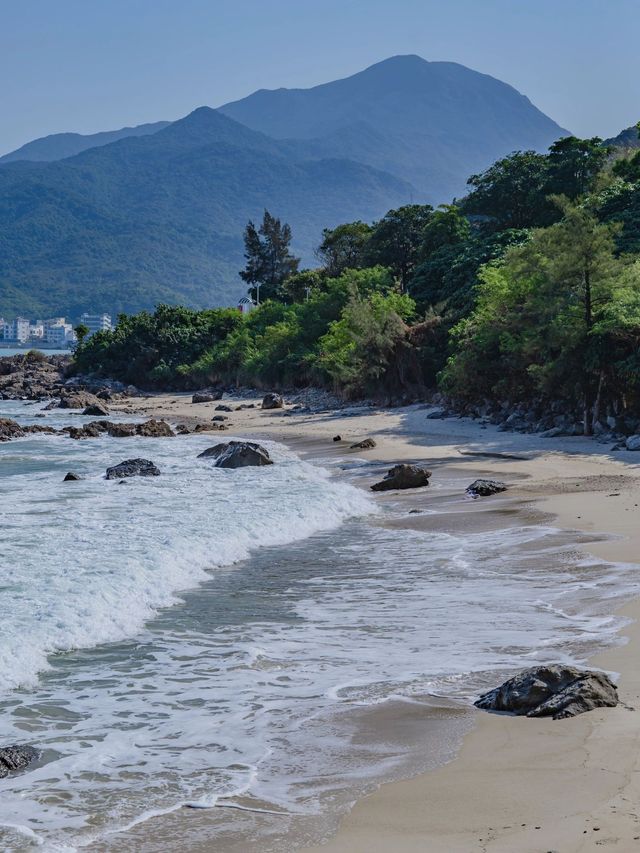 深圳2日遊 冬日暖陽裏的寫意之旅