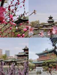 美帝禹宙旅遊公司