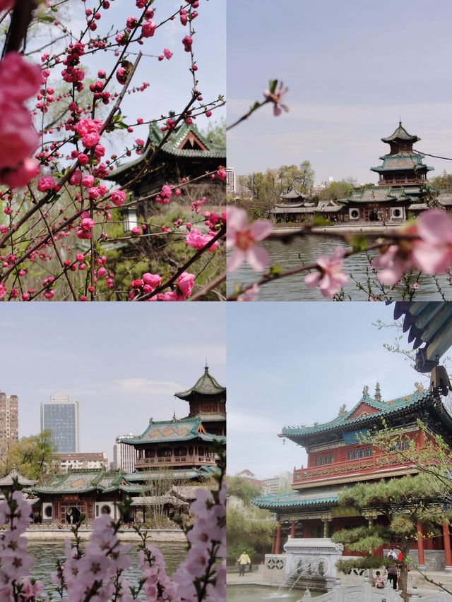 美帝禹宙旅遊公司