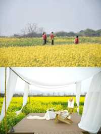 2025南昌油菜花海要開啦！快來打卡！