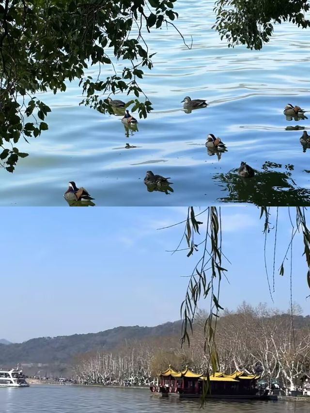 啱啱喺杭州返嚟，講啲真心話