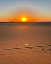 「白色沙漠（White Desert）終極旅遊攻略」    彷彿置身異星球，埃及