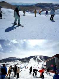 White paradise 