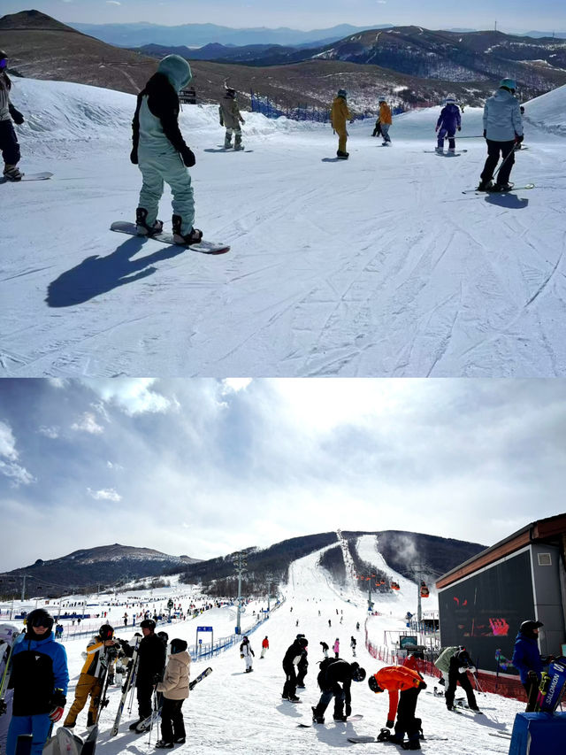 White paradise 