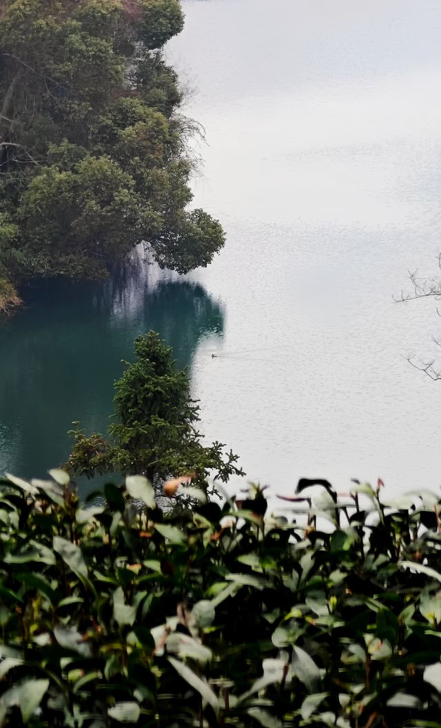 煙花三月下江南，杭州春日漫遊 |  邂逅西湖茶園嘅綠野仙蹤