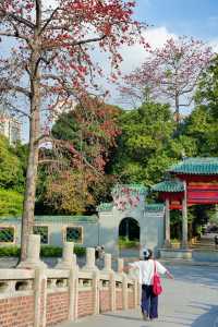 美哭！沒有哪個公園能比它更懂拿捏春和景明了