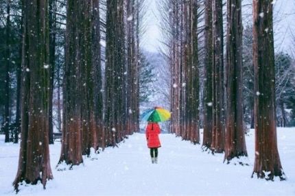 韓國洪川郡：隱藏的度假天堂！