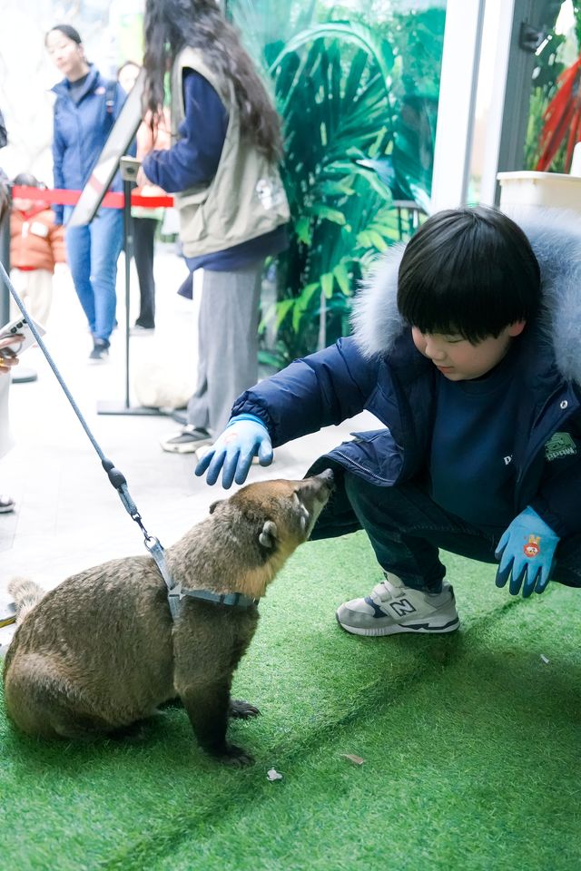 喺上海市中心摸蛇！膽小勿入