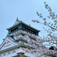 🌸福岡限定！一日玩轉樱花季攻略