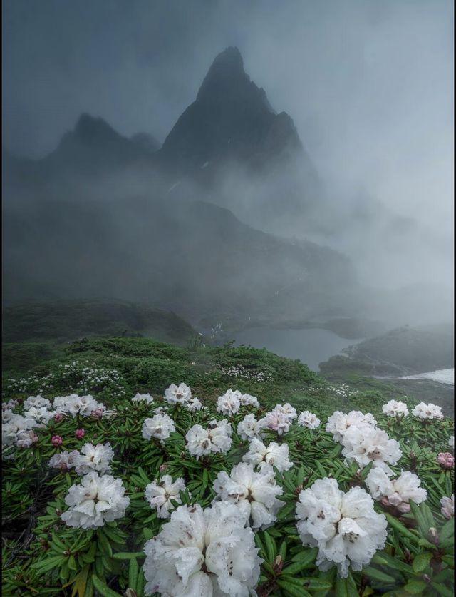 南極洛徒步：走進現實版綠野仙蹤