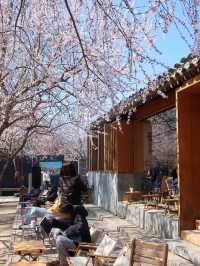 北京三里河公園