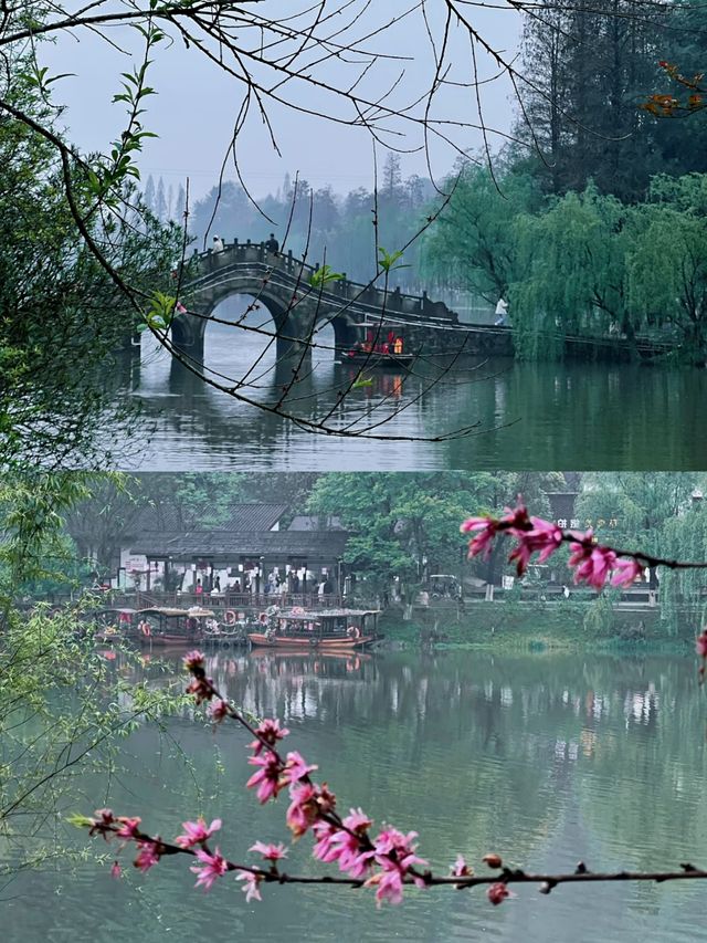 湖南常德賞桃花好去處推薦‖打卡避坑攻略