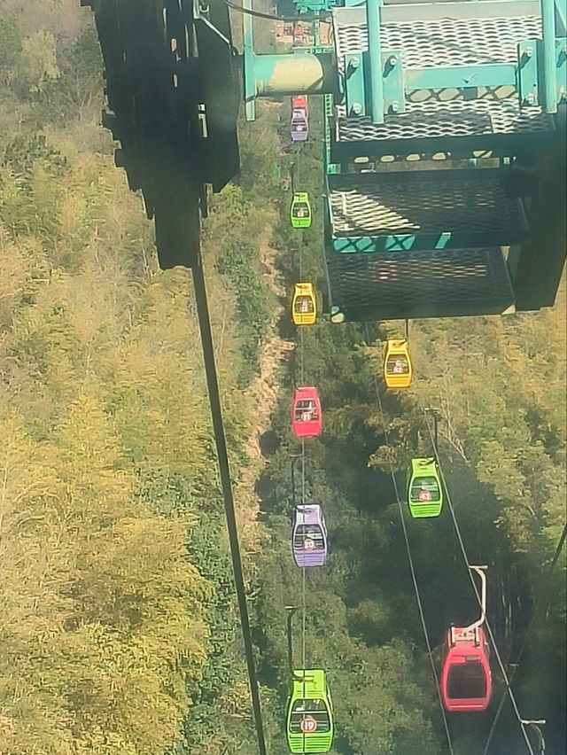 Glass Bridge and Glass Skywalk