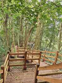 五指山2天遊 玩轉全景不留遺憾
