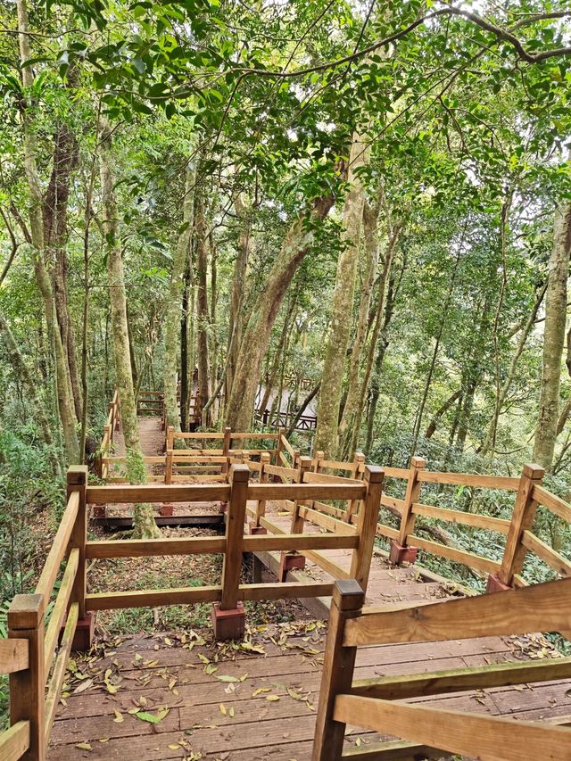 五指山2天遊 玩轉全景不留遺憾