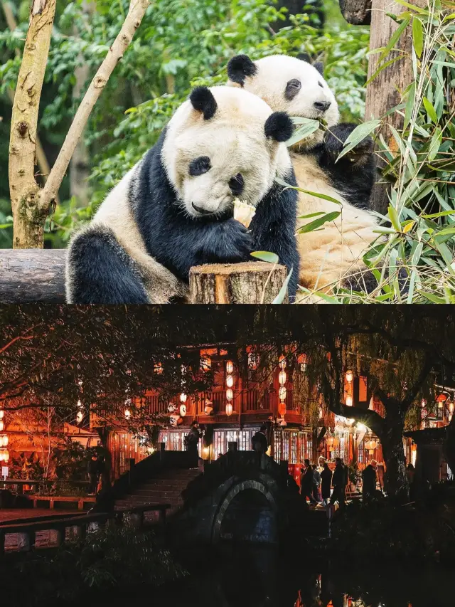 Compared to Kuanzhai Alley, I recommend these niche routes in Chengdu!