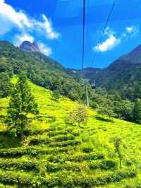 天柱山旅行全攻略：邂逅現實版神話奇境