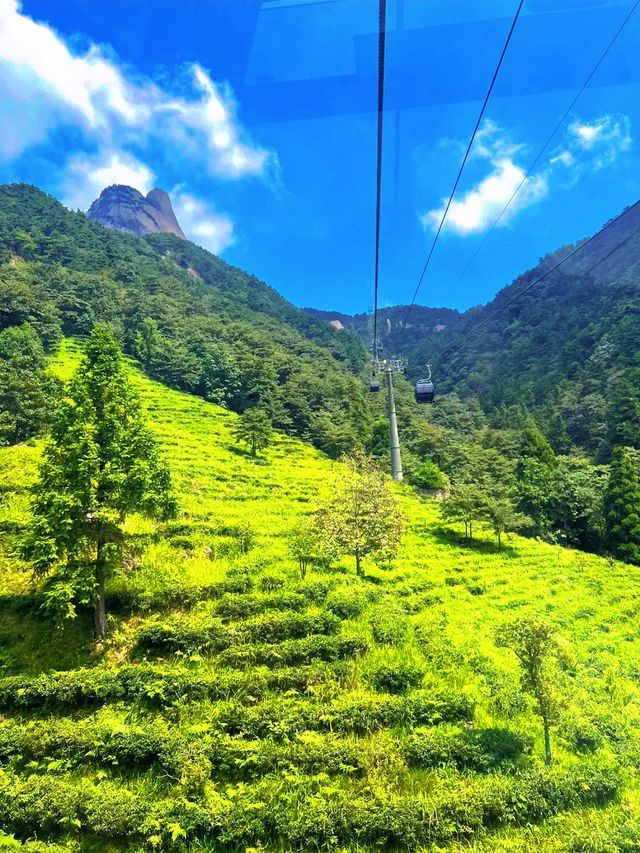 天柱山旅行全攻略：邂逅現實版神話奇境