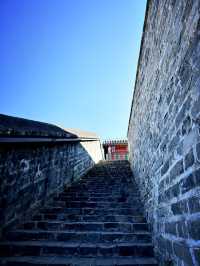 Ancient city wall blossom 