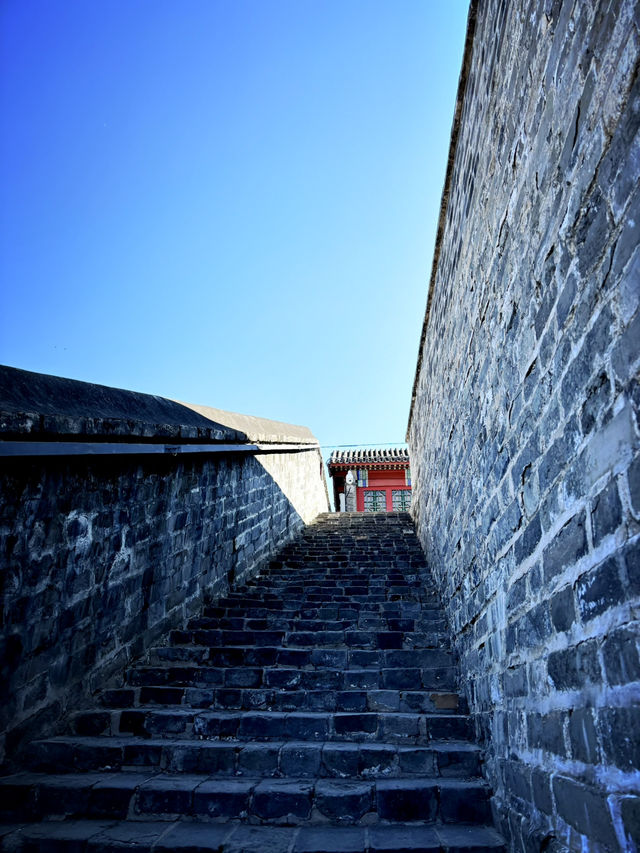Ancient city wall blossom 