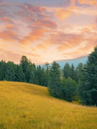Not Xinjiang! There is such a beautiful and niche prairie secret in Western Sichuan!