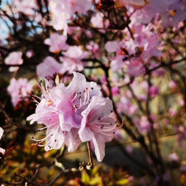 A few  days in Seoul