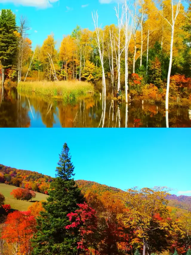 Baishan City: A Tourist's Guide to the Must-See Spots!