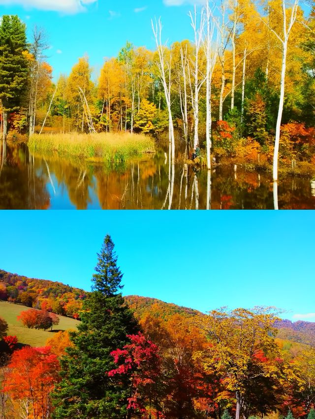 白山市｜旅遊攻略必打卡！