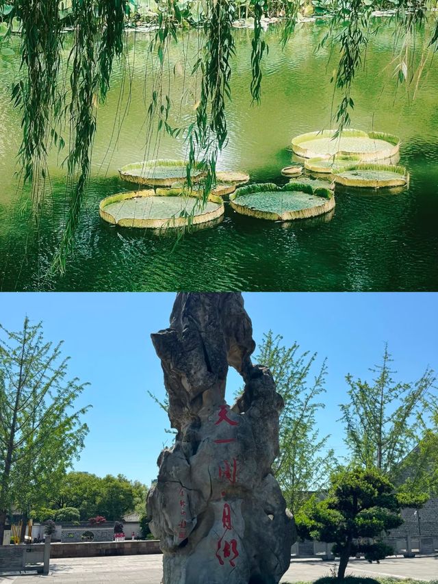 海港古城，山水佛國，舌尖上的鮮味之旅