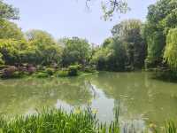 合肥翡翠湖迎賓館，不愧是國賓館