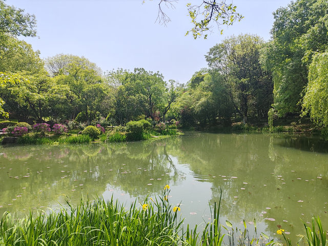 合肥翡翠湖迎賓館，不愧是國賓館
