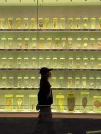人生建議：一定要來趟國家海洋博物館‼️