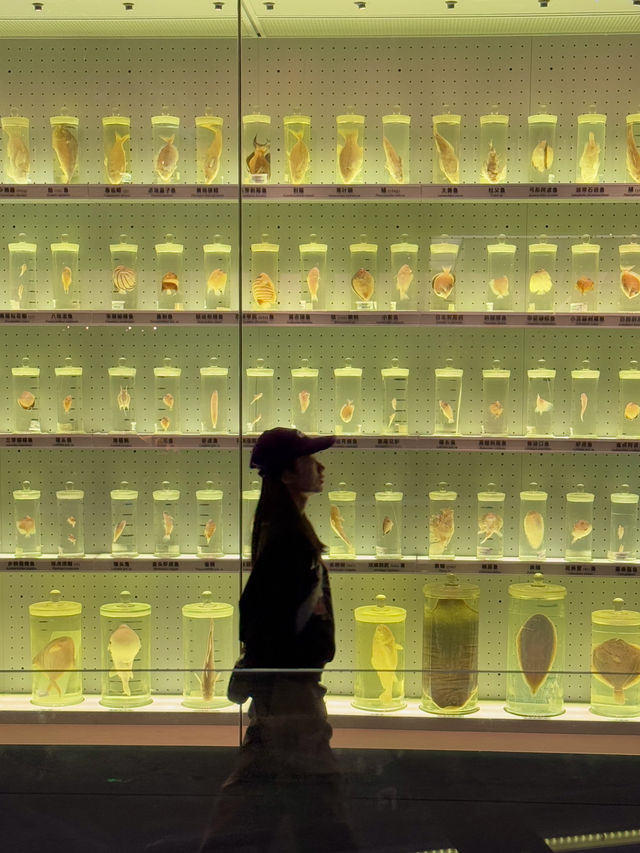 人生建議：一定要來趟國家海洋博物館‼️