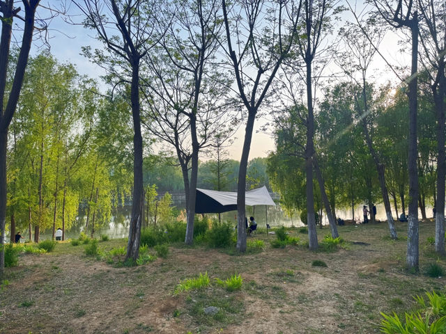 泰安人的秘密露營基地！後悔沒早來！