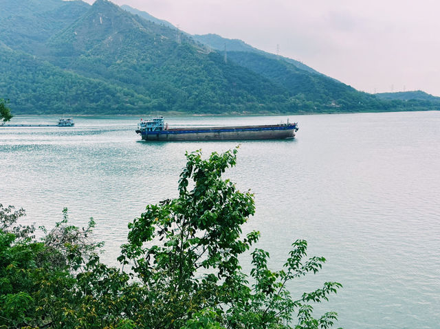 廣東省肇慶市著名森林公園：羚羊峽古棧道森林公園，適合觀光旅遊、度假休閒等！