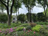 輔德里公園—疊石瀑布、杜鵑花海