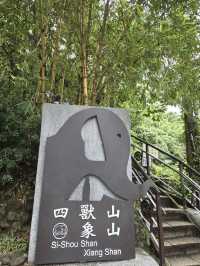 步道間的城市秘語