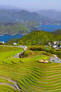 千島湖新酒店｜是宋風庭院天花板吧
