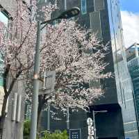 韓國旅行後遺症 終於明白什麼是「首爾病」