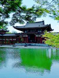 京都＆宇治雙城記，世界文化遺產之旅
