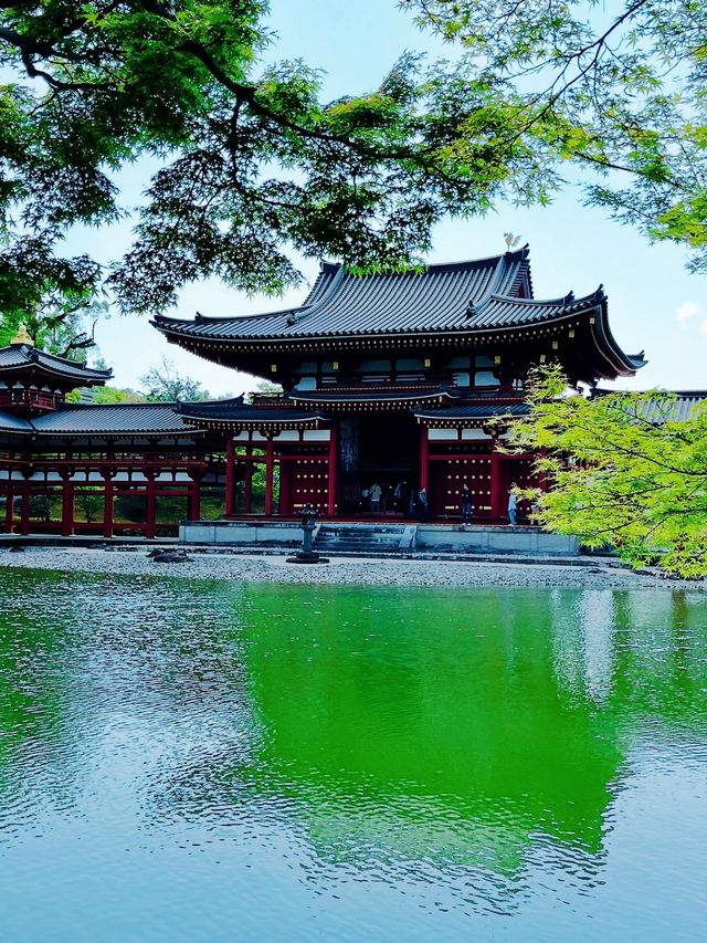 京都＆宇治雙城記，世界文化遺產之旅
