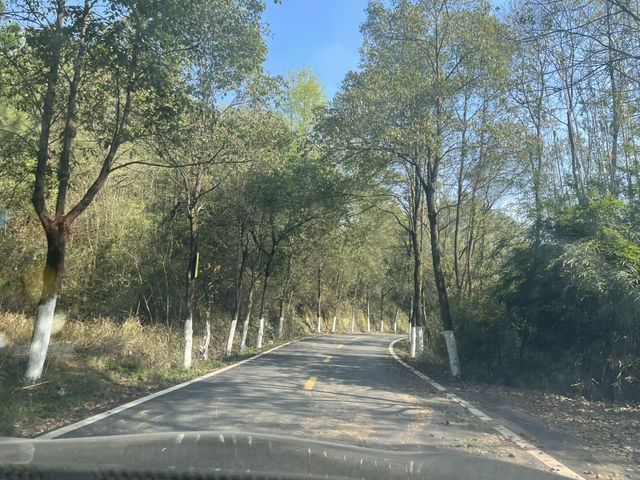 🌳邵陽吸氧寶地！寶慶森林公園