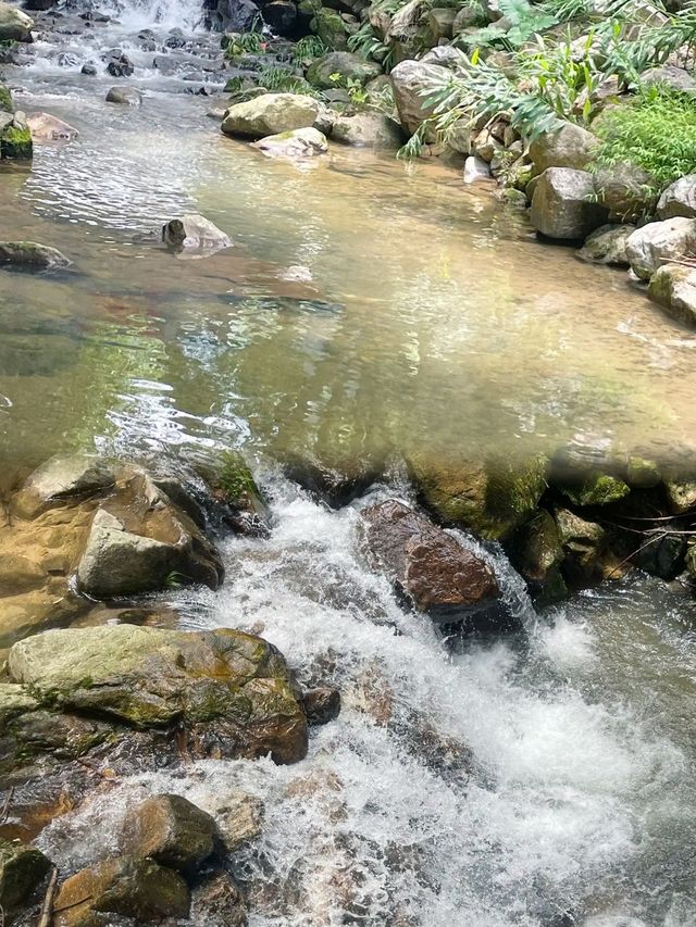 帶上最愛的人，到陰那山觀雲海日出！