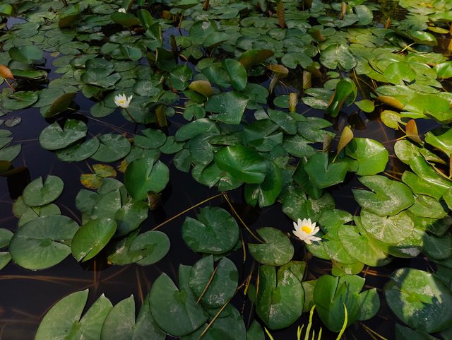 永康一日遊