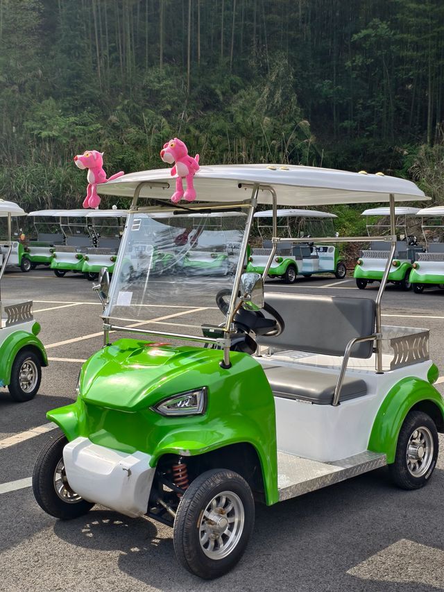 走入赤水“綠色海洋”暢玩竹海森林公園