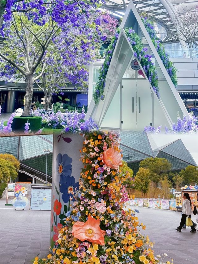 深圳一日遊？？