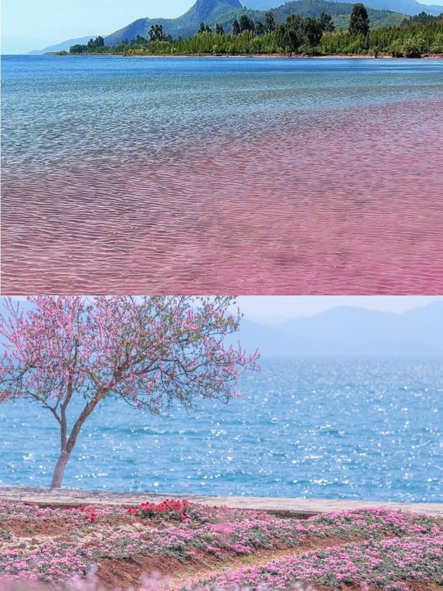 撫仙湖｜太美啦 全面撫仙湖旅遊攻略都在這兒了