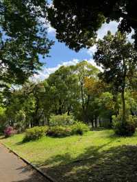 東京最適合運動的大公園，距離澀谷僅8分鐘