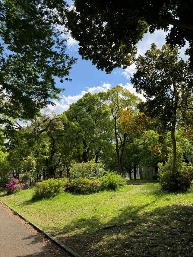 東京最適合運動的大公園，距離澀谷僅8分鐘