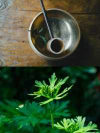 端午童趣季｜喺山野過個有儀式感嘅節日！